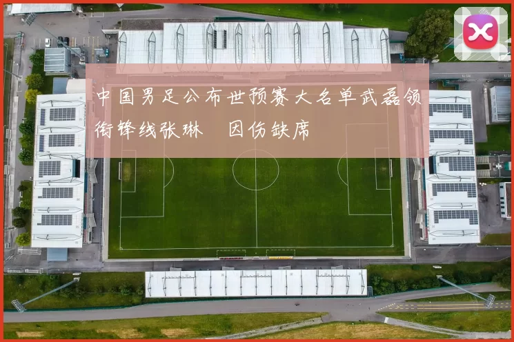 中国男足公布世预赛大名单武磊领衔锋线张琳芃因伤缺席