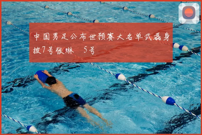 中国男足公布世预赛大名单武磊身披7号张琳芃5号